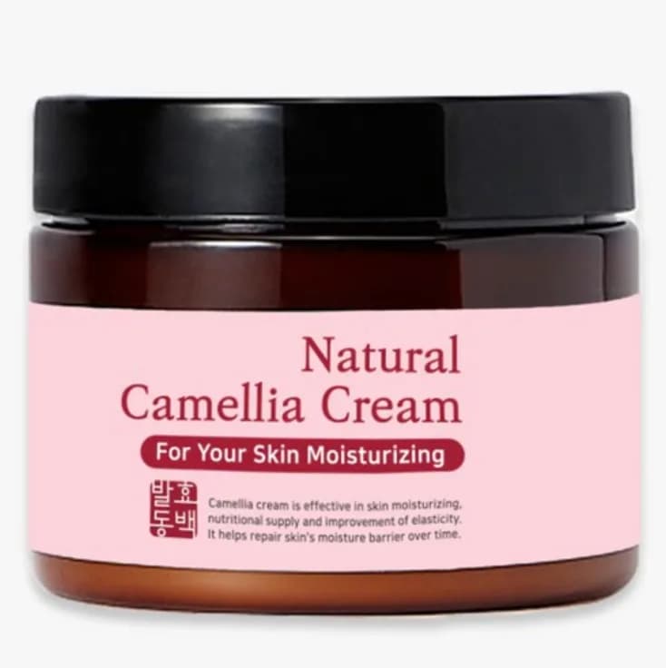 SkinEye Camellia Cream 100ml